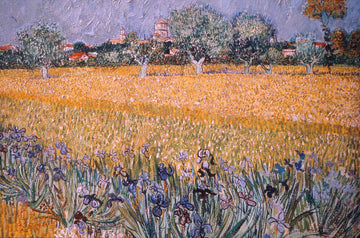 Field with Irises near Arles, 1888