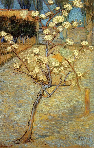 Blossoming Peor Tree, 1888
