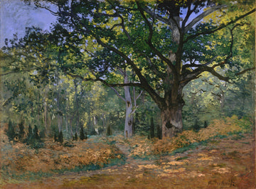 The Bodmer Oak, Fontainebleau
