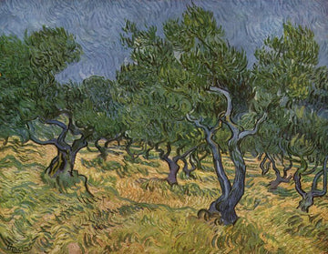 Olive Trees, 1889