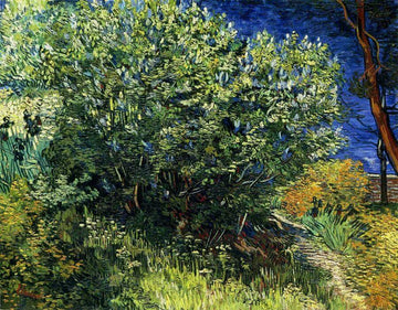 Lilac Bush, 1889