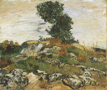The Rocks, 1888