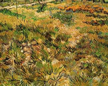 Meadow in the Garden of Saint-Paul Hospital, 1890