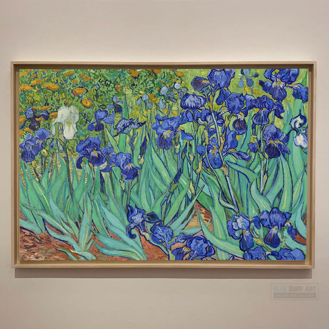 Irises