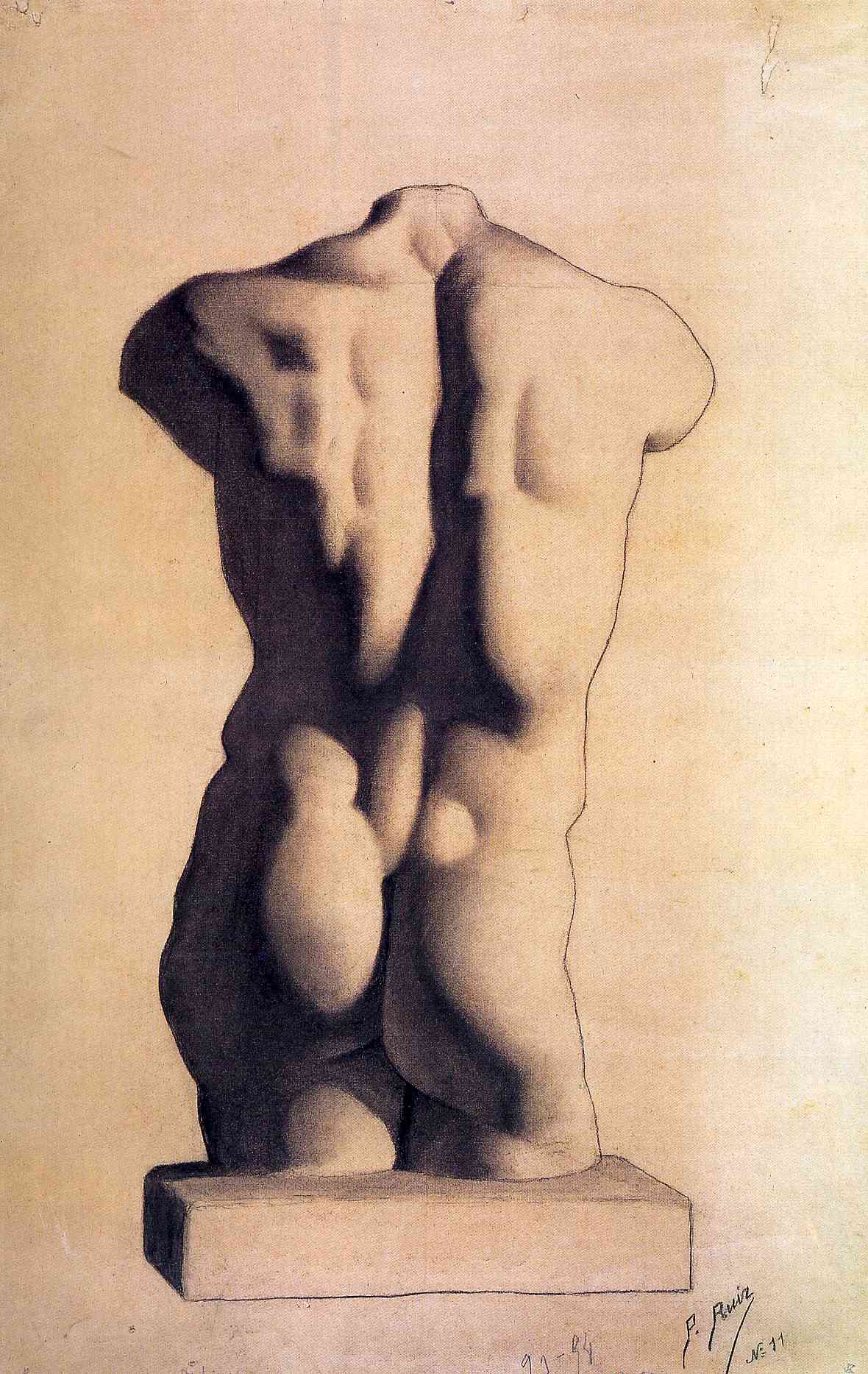 Plaster Male Torso