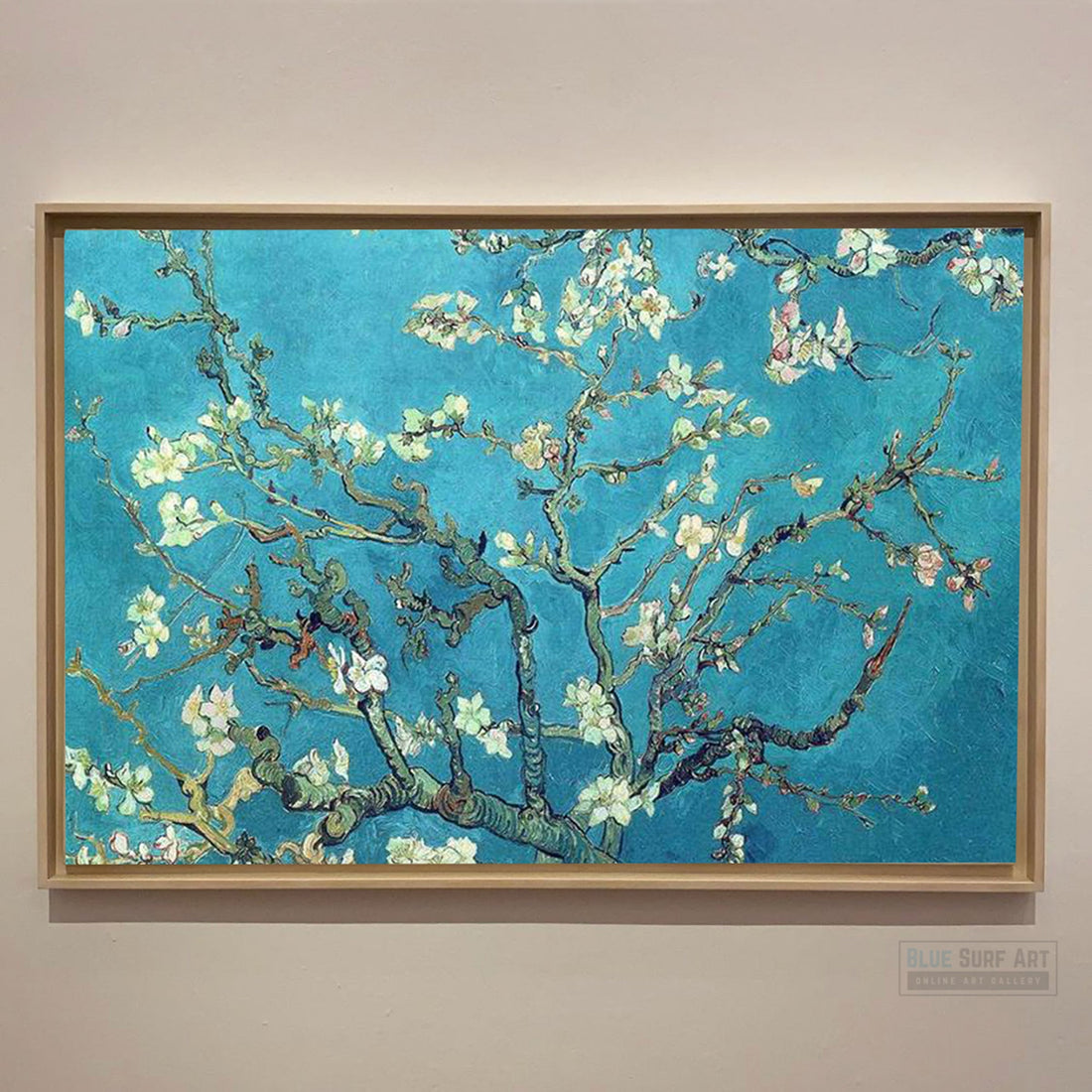 Branches of Almond tree in Bloom. Saint-Remy