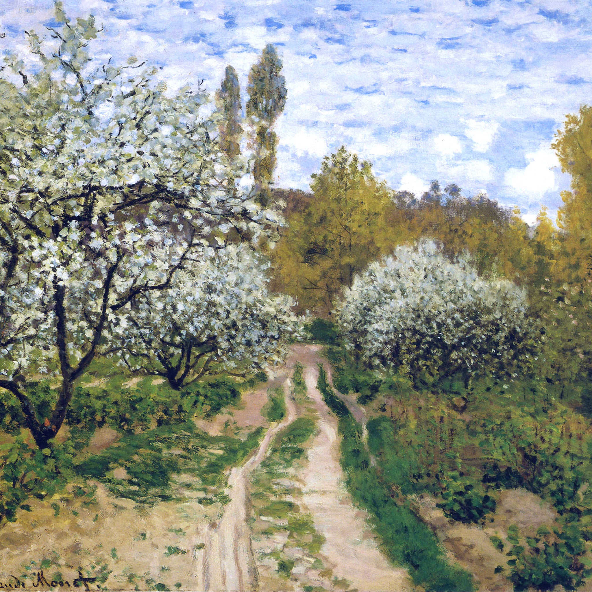 Trees in Bloom