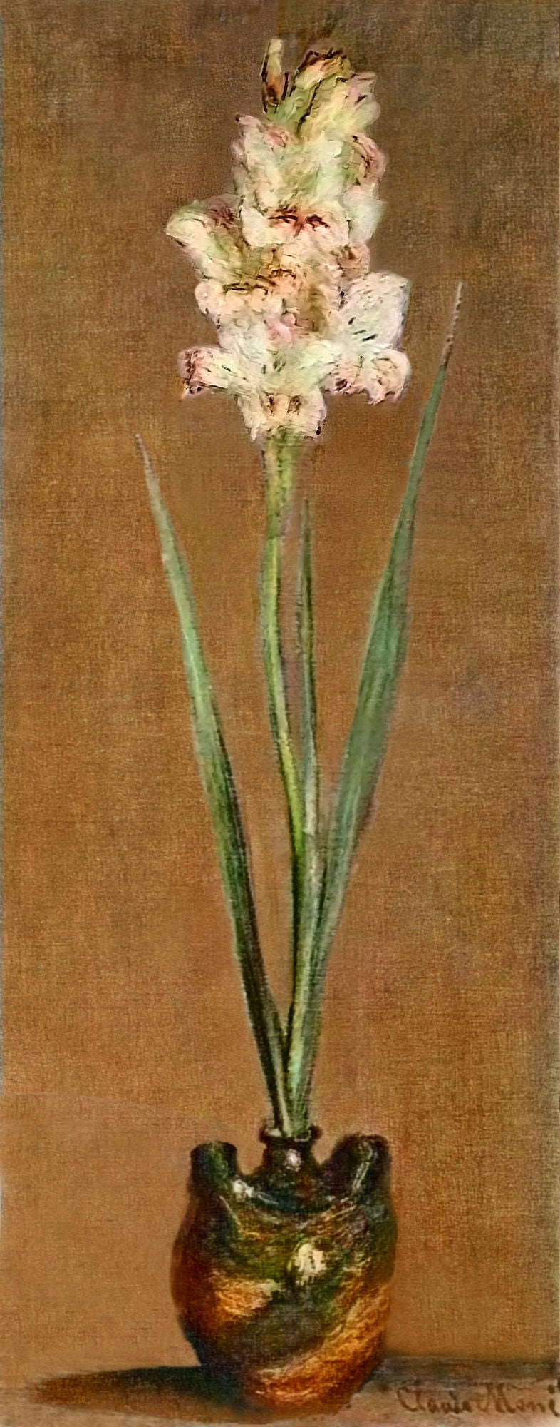 Gladiolus 1881
