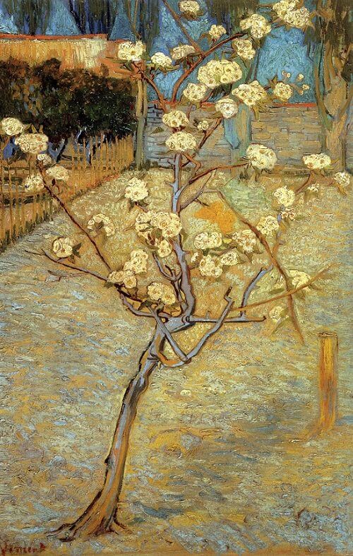 Blossoming Peor Tree, 1888