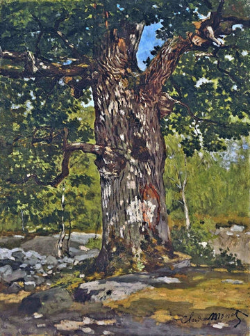 The Bodmer Oak
