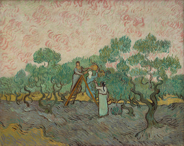 The Olive Picker, 1889