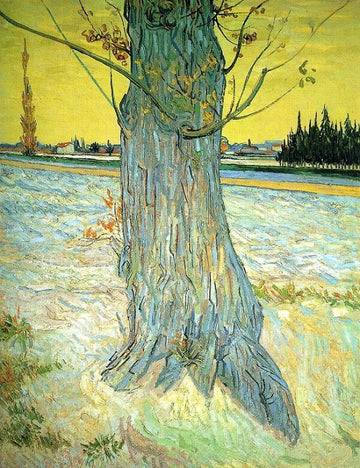 Trunk of an Old Yew Tree, 1888