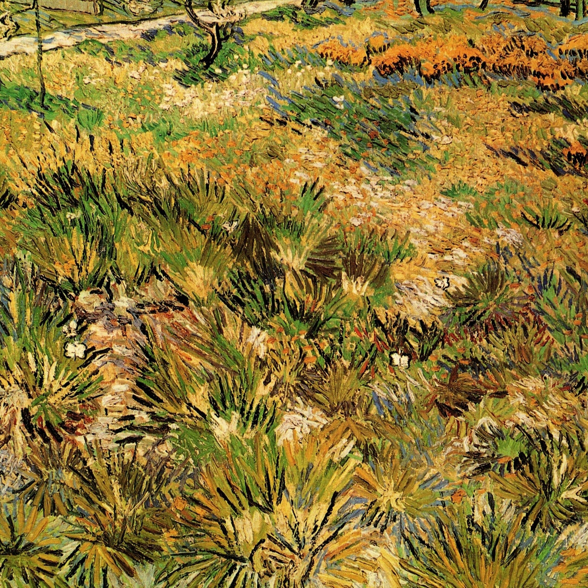 Meadow in the Garden of Saint-Paul Hospital, 1890