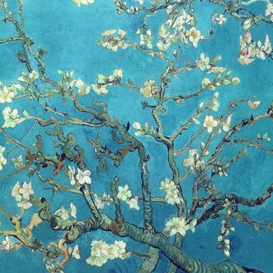 Branches of Almond tree in Bloom. Saint-Remy
